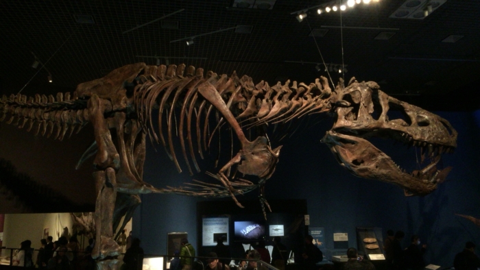 リアルark 恐竜博16 国立科学博物館